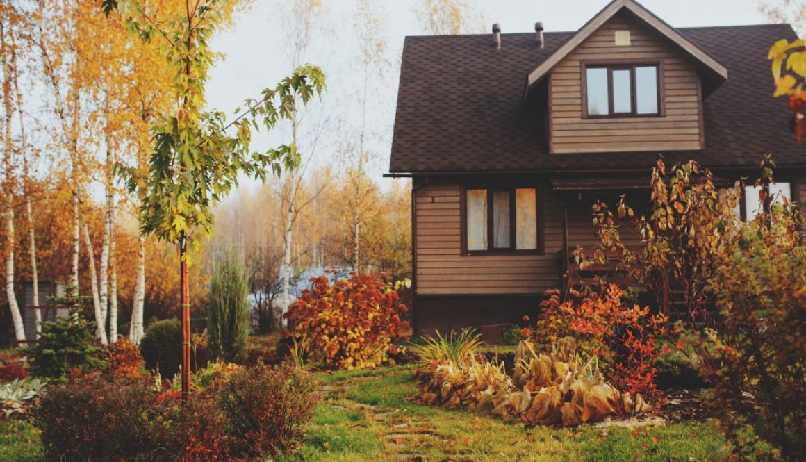 autumn wooden country house and garden view