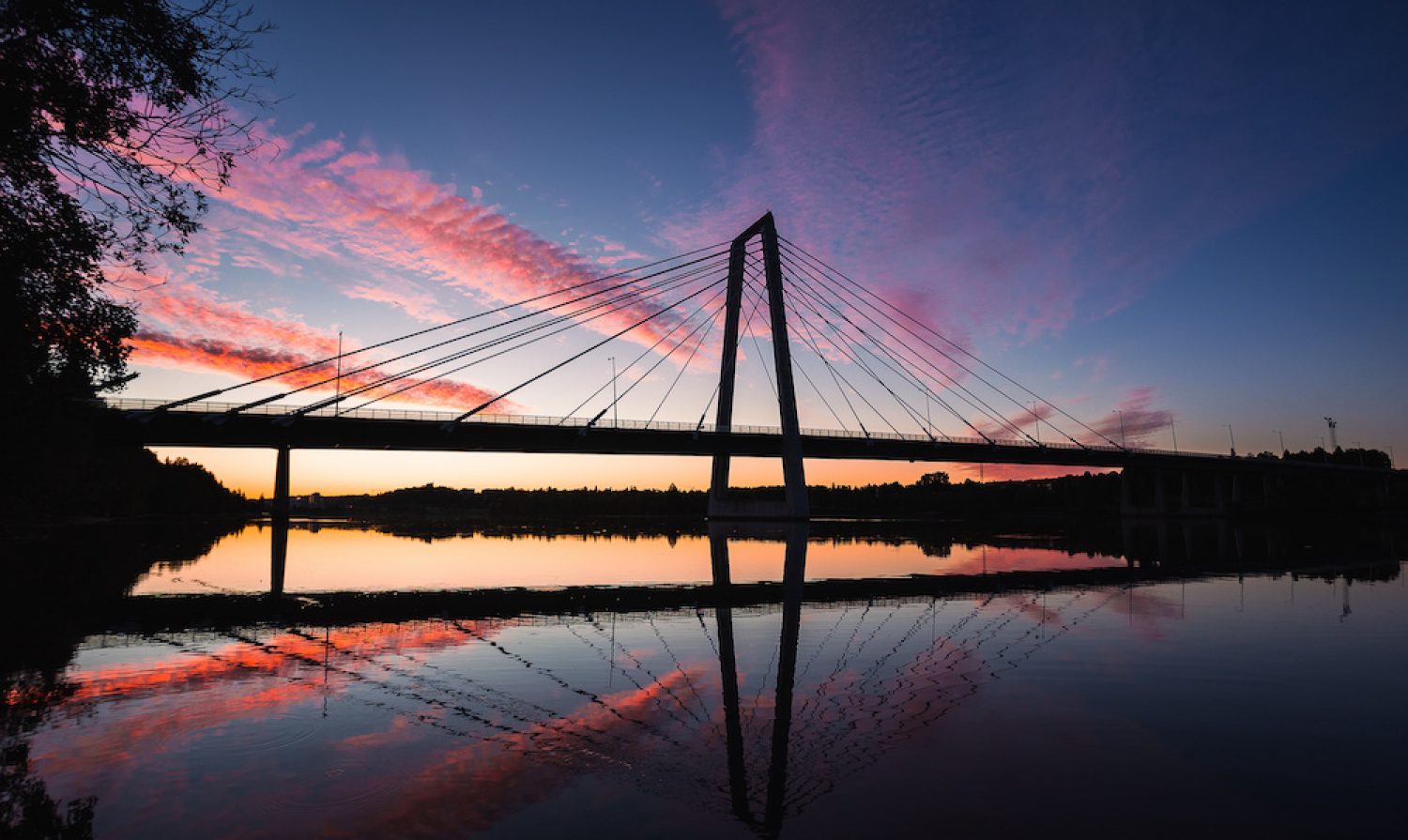 The bridge in pink sunset